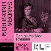 Fig 1: Sandra Lindström, psychologist, with the lecture “The unequal stress”