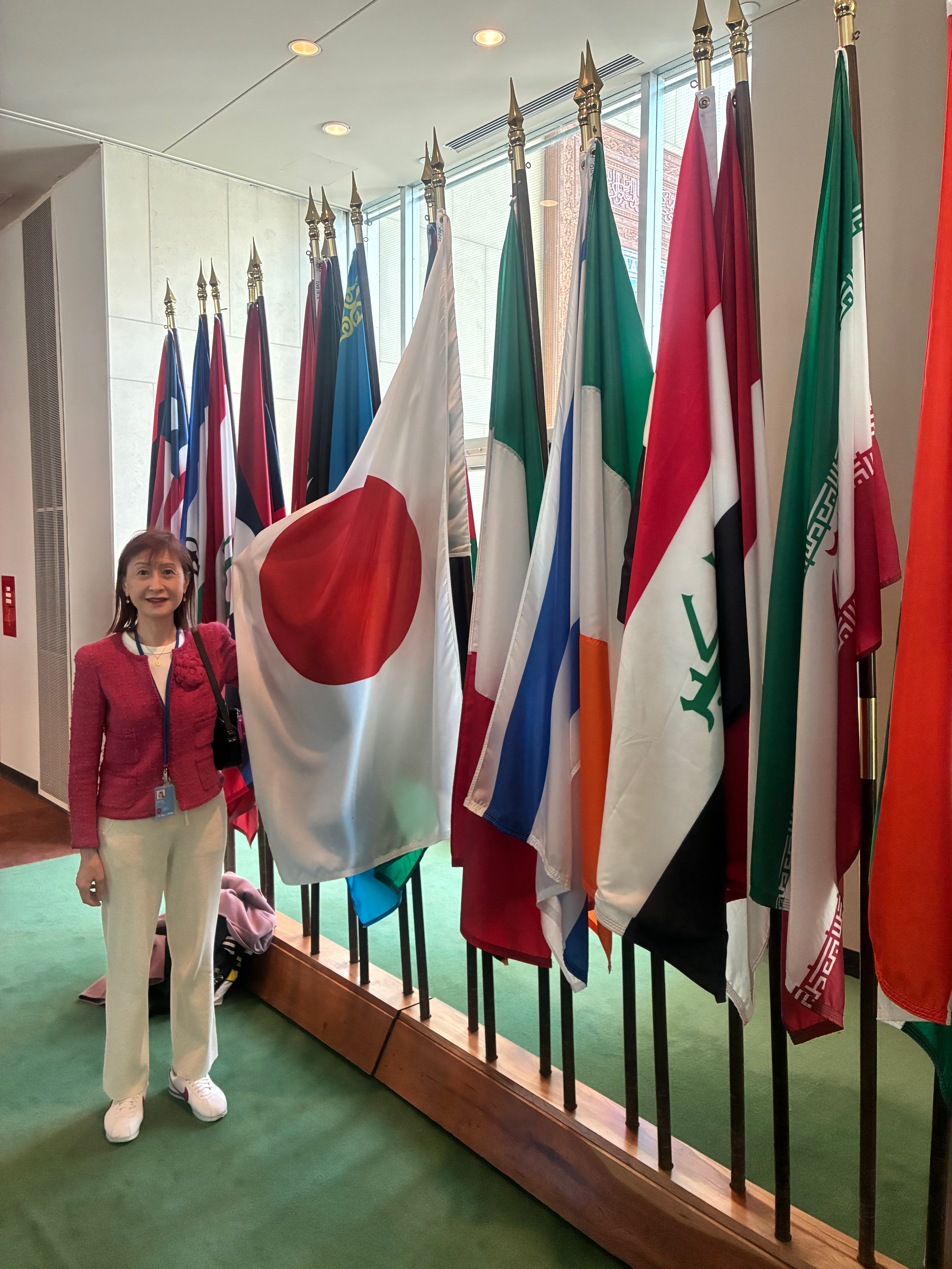 Fig 1. inside the United Nations building
